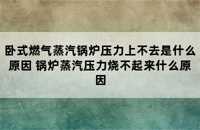 卧式燃气蒸汽锅炉压力上不去是什么原因 锅炉蒸汽压力烧不起来什么原因